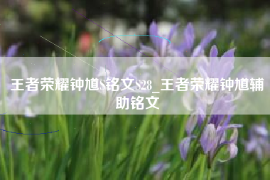 王者荣耀钟馗S铭文S28_王者荣耀钟馗辅助铭文