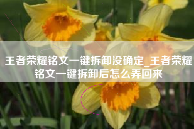 王者荣耀铭文一键拆卸没确定_王者荣耀铭文一键拆卸后怎么弄回来