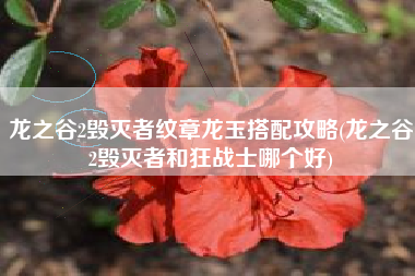 龙之谷2毁灭者纹章龙玉搭配攻略(龙之谷2毁灭者和狂战士哪个好)