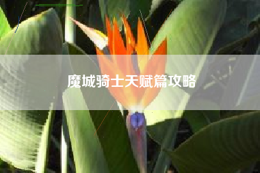 魔城骑士天赋篇攻略