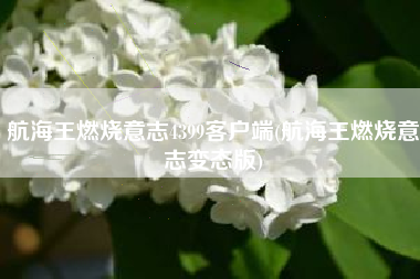 航海王燃烧意志4399客户端(航海王燃烧意志变态版)