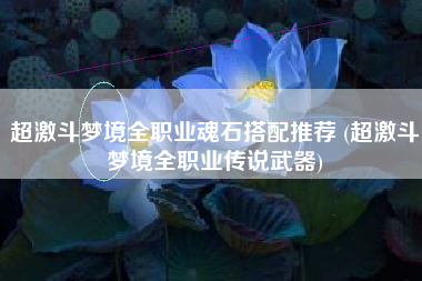 超激斗梦境全职业魂石搭配推荐 (超激斗梦境全职业传说武器)