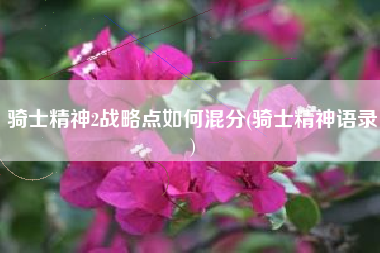 骑士精神2战略点如何混分(骑士精神语录)