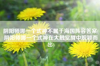 阴阳师哪一个式神不属于海国阵容答案(阴阳师哪一个式神在大触觉醒中脱颖而出)
