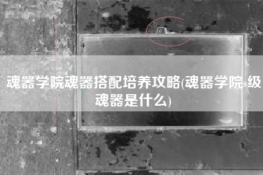 魂器学院魂器搭配培养攻略(魂器学院s级魂器是什么)