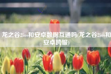 龙之谷2ios和安卓数据互通吗(龙之谷2ios和安卓跨服)