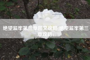 绝望监牢第三章图文攻略(绝望监牢第三章攻略)