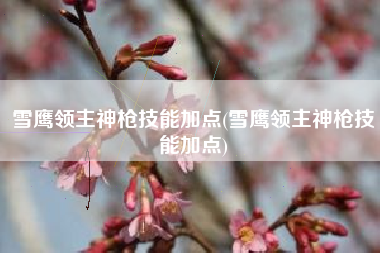 雪鹰领主神枪技能加点(雪鹰领主神枪技能加点)