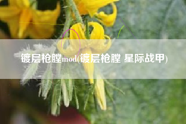 镀层枪膛mod(镀层枪膛 星际战甲)
