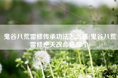 鬼谷八荒雷修传承功法怎么选(鬼谷八荒雷修逆天改命选哪个)