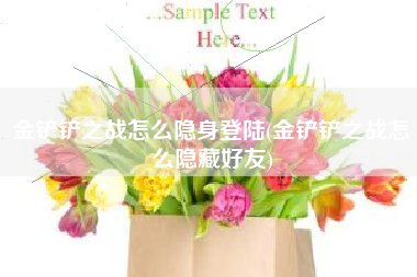 金铲铲之战怎么隐身登陆(金铲铲之战怎么隐藏好友)