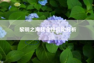 黎明之海战令性价比分析