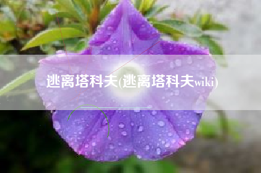 逃离塔科夫(逃离塔科夫wiki)