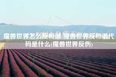 魔兽世界怎么反和谐-魔兽世界反和谐代码是什么(魔兽世界反伤)