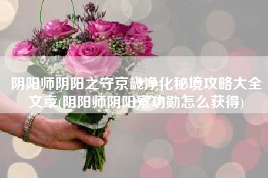 阴阳师阴阳之守京畿净化秘境攻略大全文章(阴阳师阴阳寮功勋怎么获得)