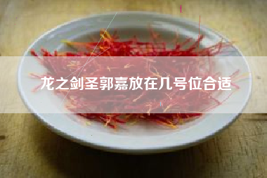 龙之剑圣郭嘉放在几号位合适