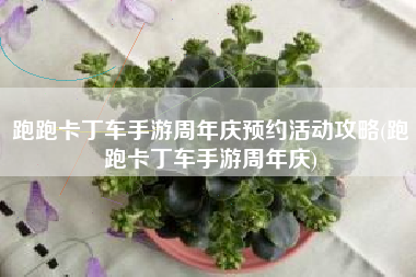 跑跑卡丁车手游周年庆预约活动攻略(跑跑卡丁车手游周年庆)
