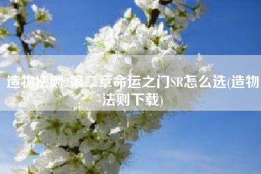 造物法则2第二章命运之门SR怎么选(造物法则下载)
