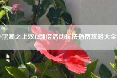 黑潮之上双12翻倍活动玩法指南攻略大全