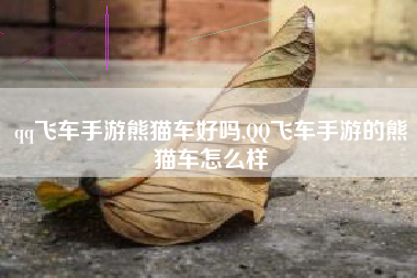 qq飞车手游熊猫车好吗,QQ飞车手游的熊猫车怎么样