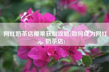 网红奶茶店椰果获取攻略(如何成为网红奶茶店)