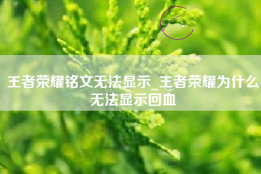 王者荣耀铭文无法显示_王者荣耀为什么无法显示回血