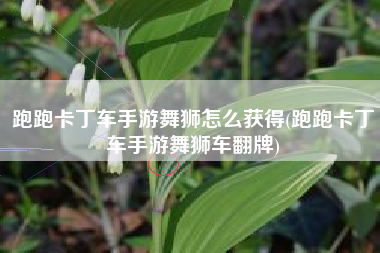 跑跑卡丁车手游舞狮怎么获得(跑跑卡丁车手游舞狮车翻牌)