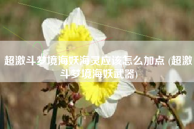 超激斗梦境海妖海灵应该怎么加点 (超激斗梦境海妖武器)