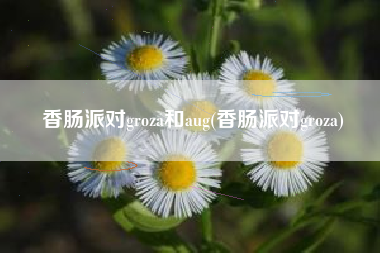香肠派对groza和aug(香肠派对groza)