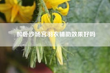 醉卧沙场宫羽衣辅助效果好吗