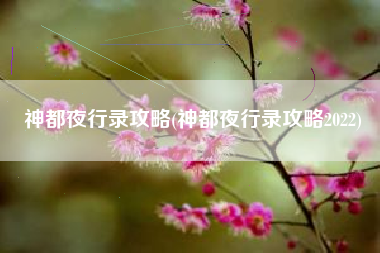 神都夜行录攻略(神都夜行录攻略2022)