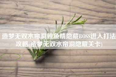 造梦无双水帘洞鲤鱼精隐藏BOSS进入打法攻略(造梦无双水帘洞隐藏关卡)