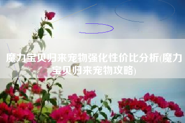 魔力宝贝归来宠物强化性价比分析(魔力宝贝归来宠物攻略)