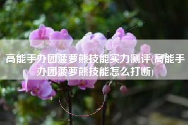 高能手办团菠萝熊技能实力测评(高能手办团菠萝熊技能怎么打断)