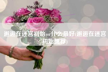 邂逅在迷宫初始ssr什么最好(邂逅在迷宫初始推荐)