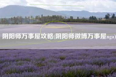 阴阳师万事屋攻略(阴阳师微博万事屋nga)