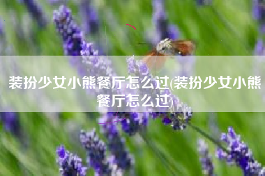 装扮少女小熊餐厅怎么过(装扮少女小熊餐厅怎么过)