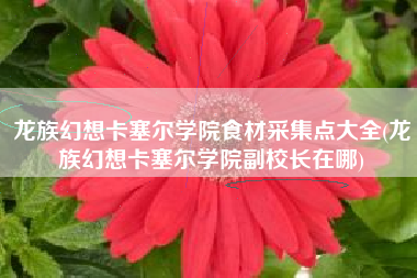 龙族幻想卡塞尔学院食材采集点大全(龙族幻想卡塞尔学院副校长在哪)