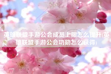 英雄联盟手游公会成员上限怎么提升(英雄联盟手游公会功勋怎么获得)