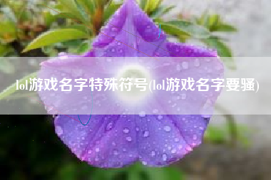lol游戏名字特殊符号(lol游戏名字要骚)