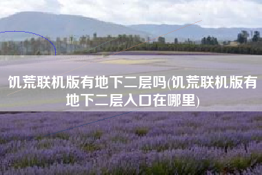 饥荒联机版有地下二层吗(饥荒联机版有地下二层入口在哪里)