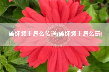 破坏领主怎么传送(破坏领主怎么玩)