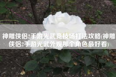 神雕侠侣2手游光武竞技场打法攻略(神雕侠侣2手游光武外观那个角色最好看)