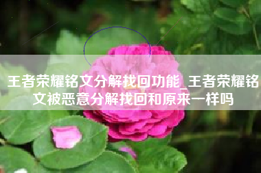 王者荣耀铭文分解找回功能_王者荣耀铭文被恶意分解找回和原来一样吗