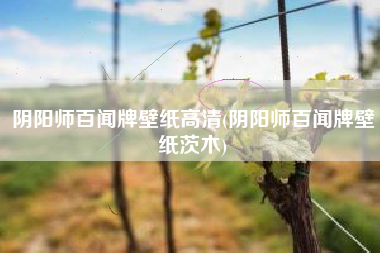 阴阳师百闻牌壁纸高清(阴阳师百闻牌壁纸茨木)