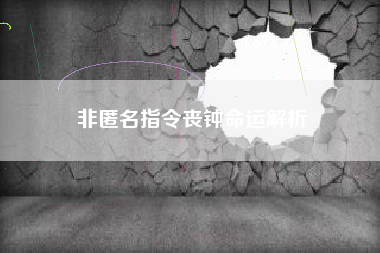 非匿名指令丧钟命运解析