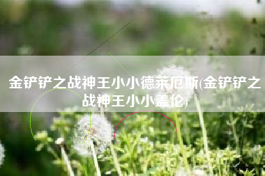 金铲铲之战神王小小德莱厄斯(金铲铲之战神王小小盖伦)
