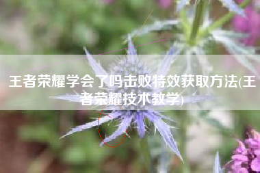 王者荣耀学会了吗击败特效获取方法(王者荣耀技术教学)