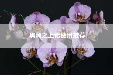 黑潮之上诺使用推荐