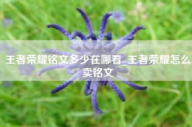 王者荣耀铭文多少在哪看_王者荣耀怎么卖铭文